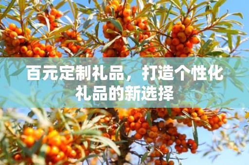 百元定制礼品，打造个性化礼品的新选择